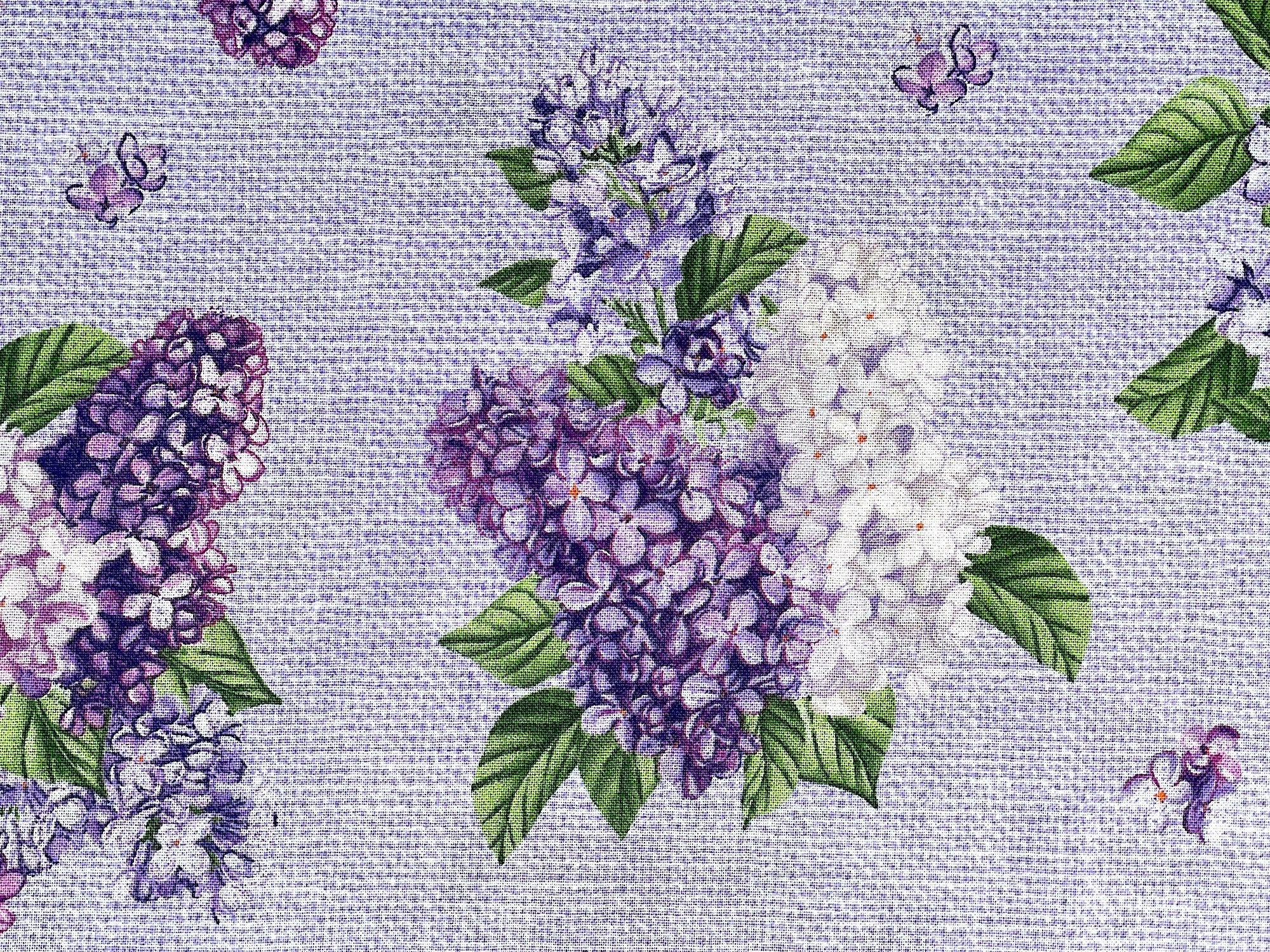 Close up of a bunch of lilacs. and green leaves.