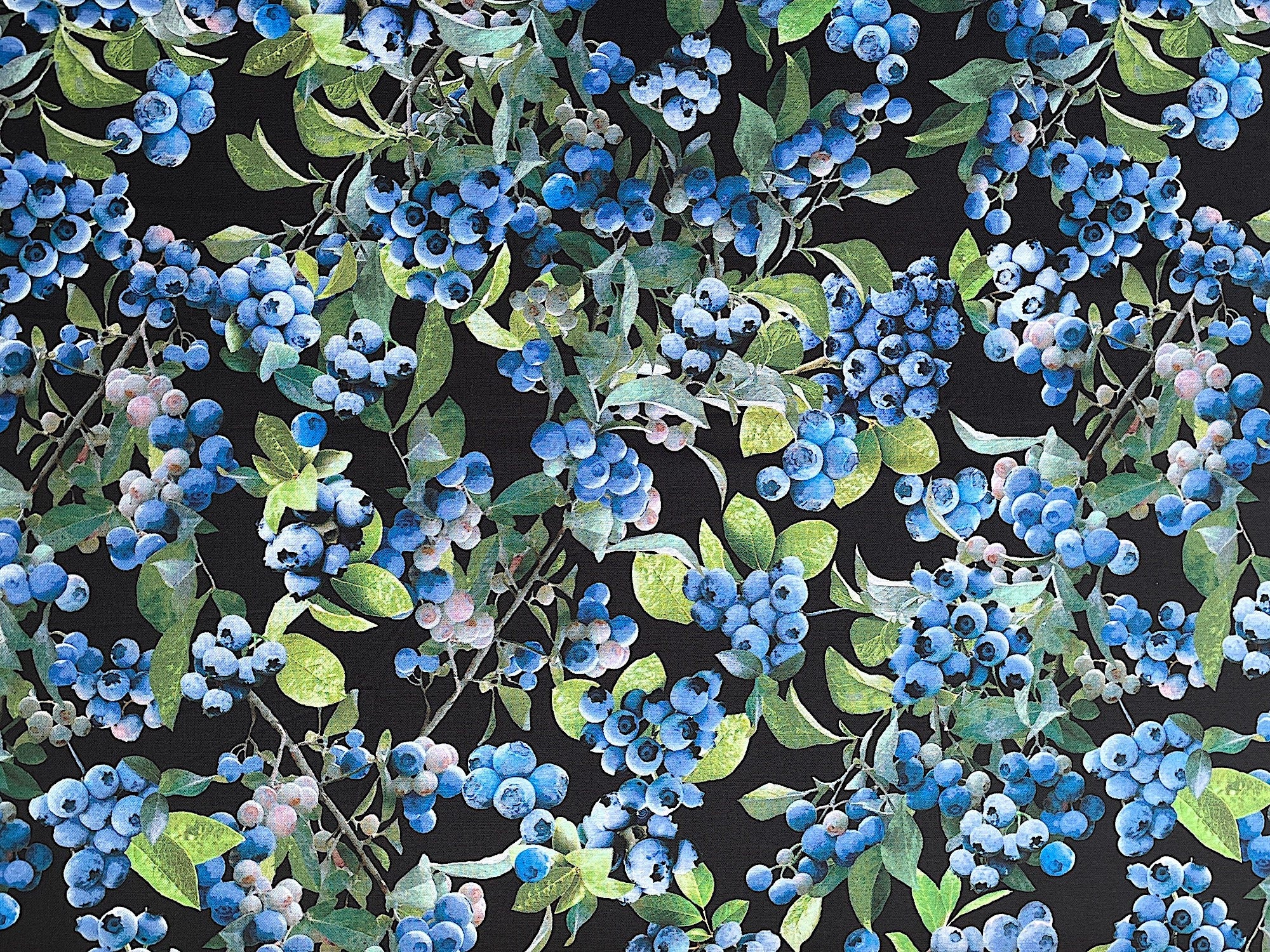 This black fabric is covered with blueberry bunches and green leaves. This fabric is part of the Blueberry Hill collection by Kanvas Studio