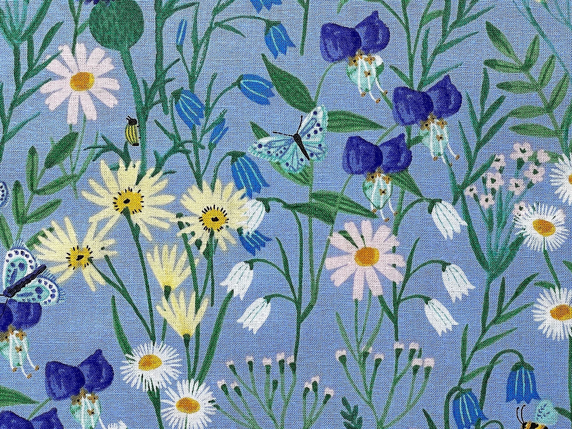 Close up of wildflowers, butterflies and bees.