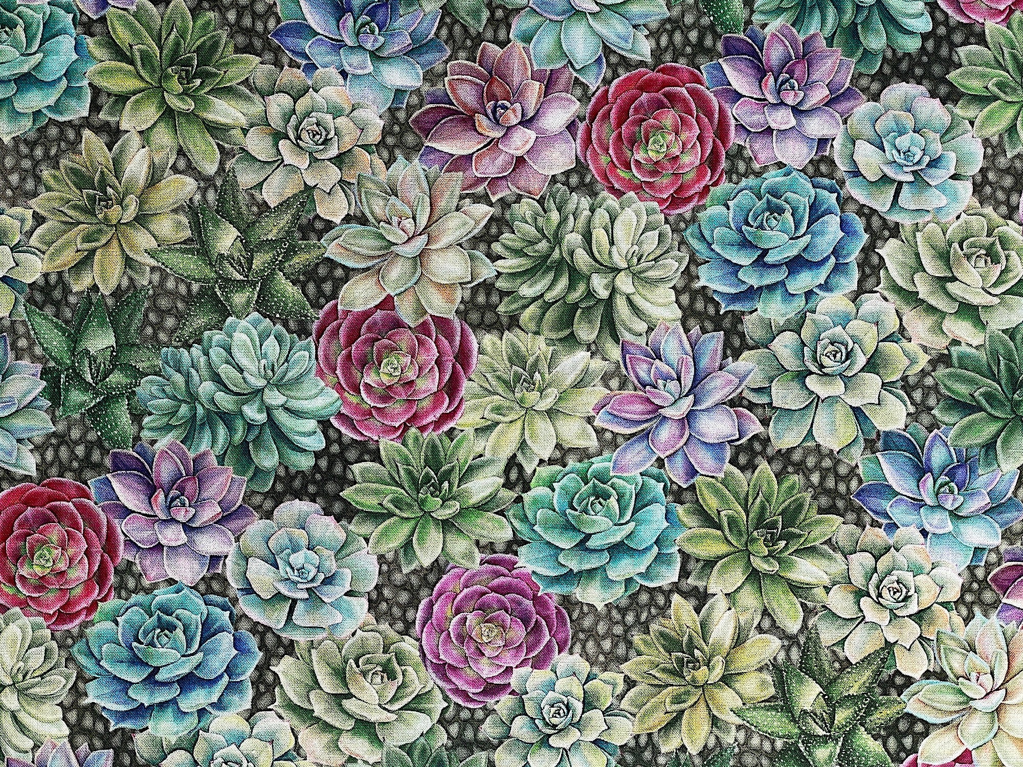 Cotton fabric that is covered with succulents that are  shades of green, blue, red and pink