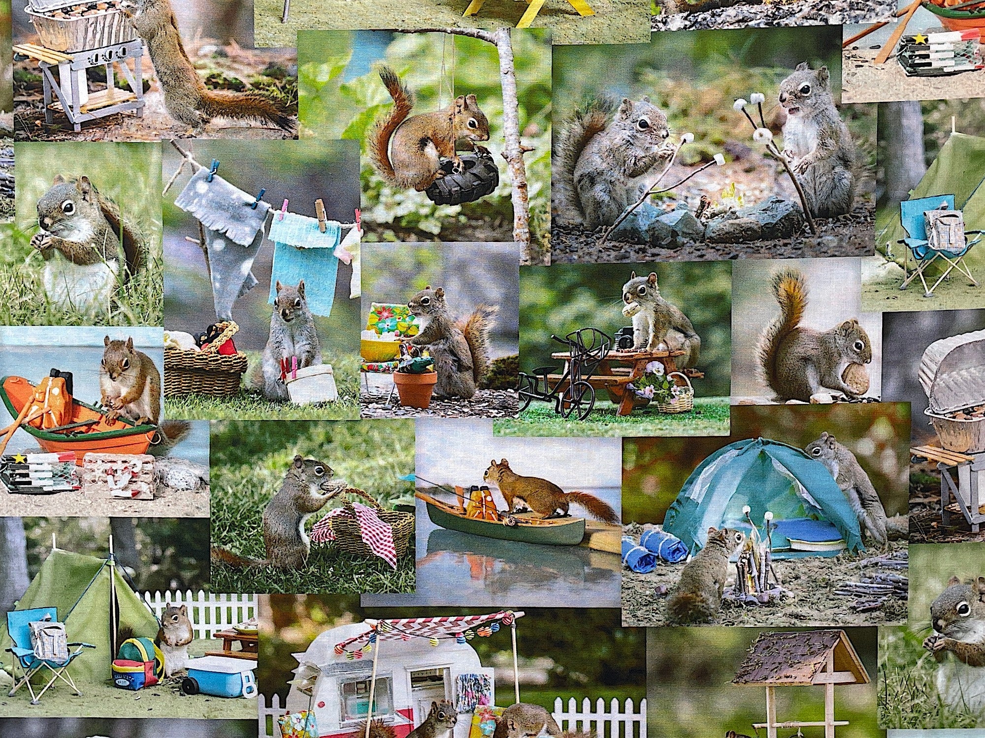 This fabric is part of the Secret Life of Squirrels collection by Nancy Rose. This cotton fabric is covered with squirrels enjoying the outdoors. Some of the squirrels are eating peanuts, playing by tents or by boats. Other squirrels are roasting marshmallows by the campfire.