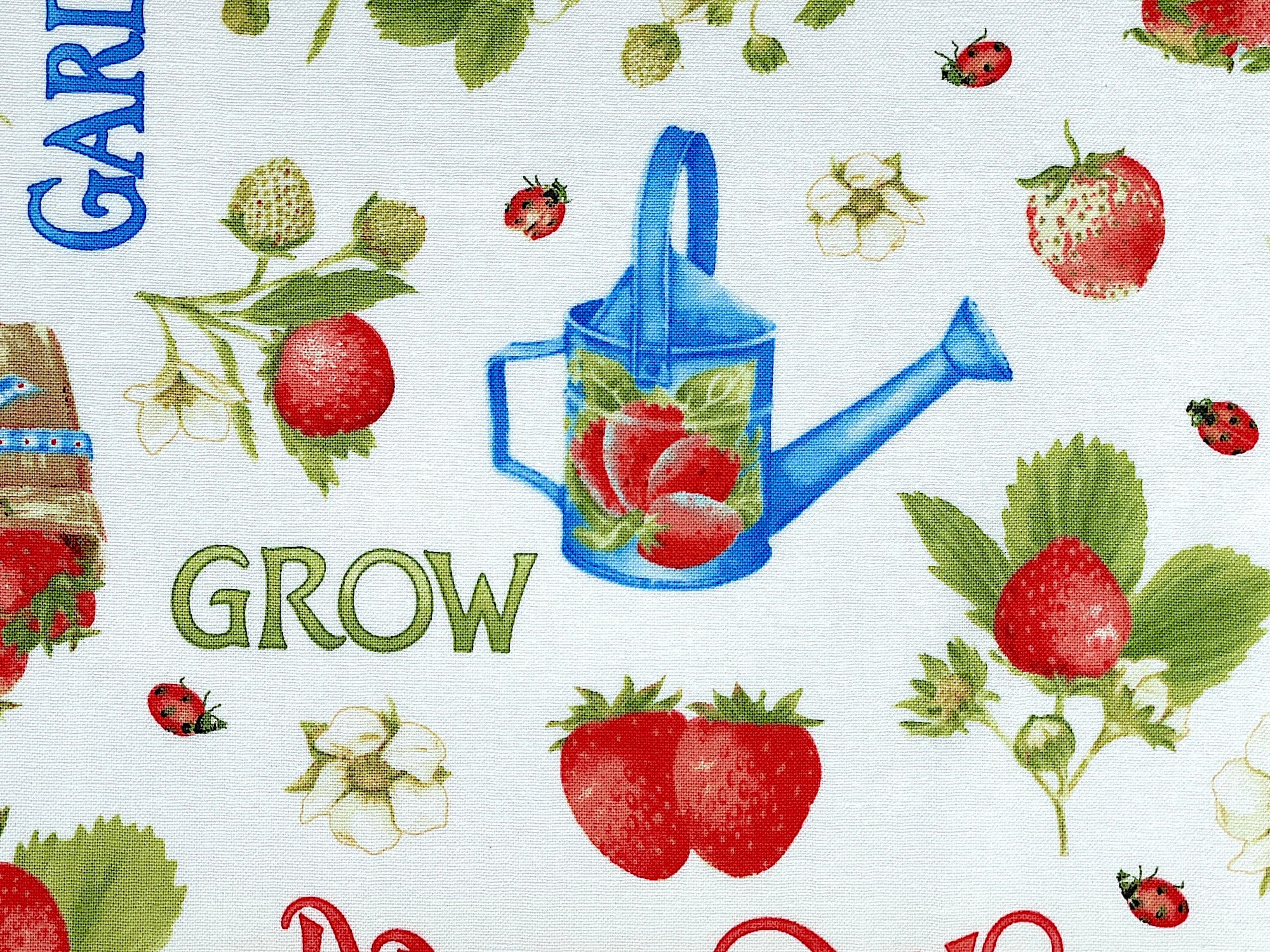 Close up of a watering can and strawberries.