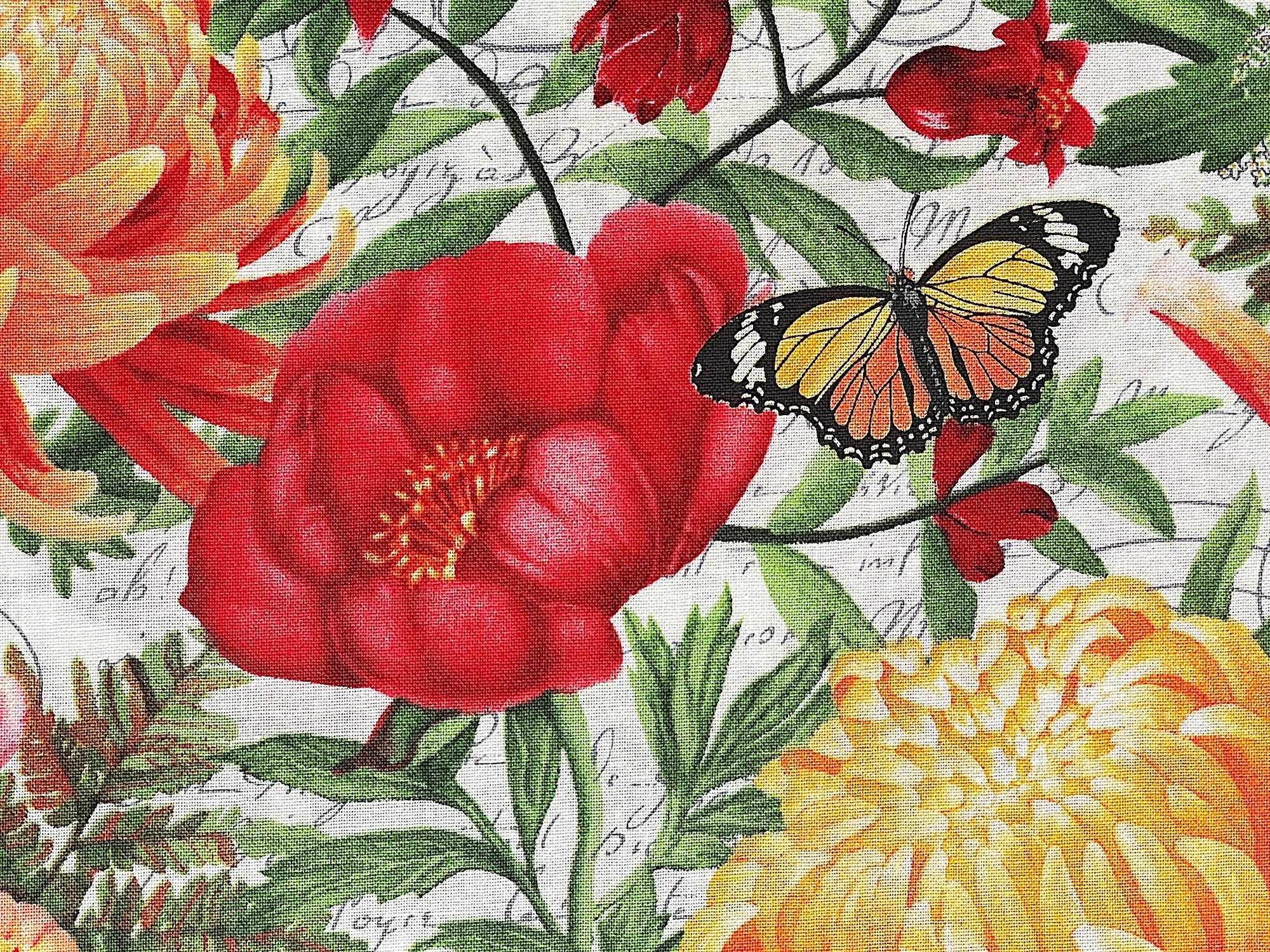 Close up of poppies and a butterfly.