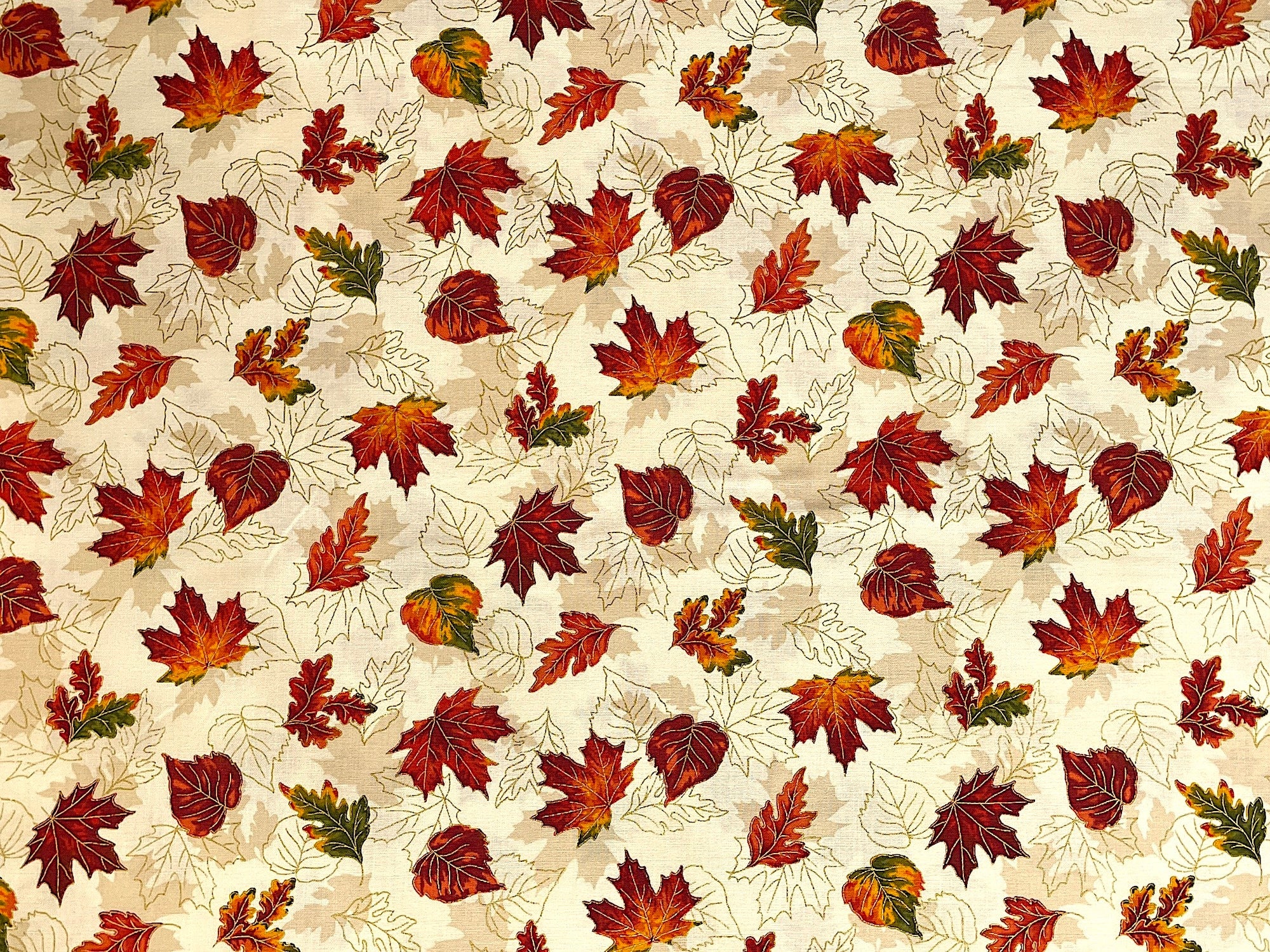 This cotton fabric is part of the Autumn Bouquet collection by Robert Kaufman. The cream colored background is covered with leaves in shades of yellow, orange and green. There are also leaf outlines throughout the fabric.