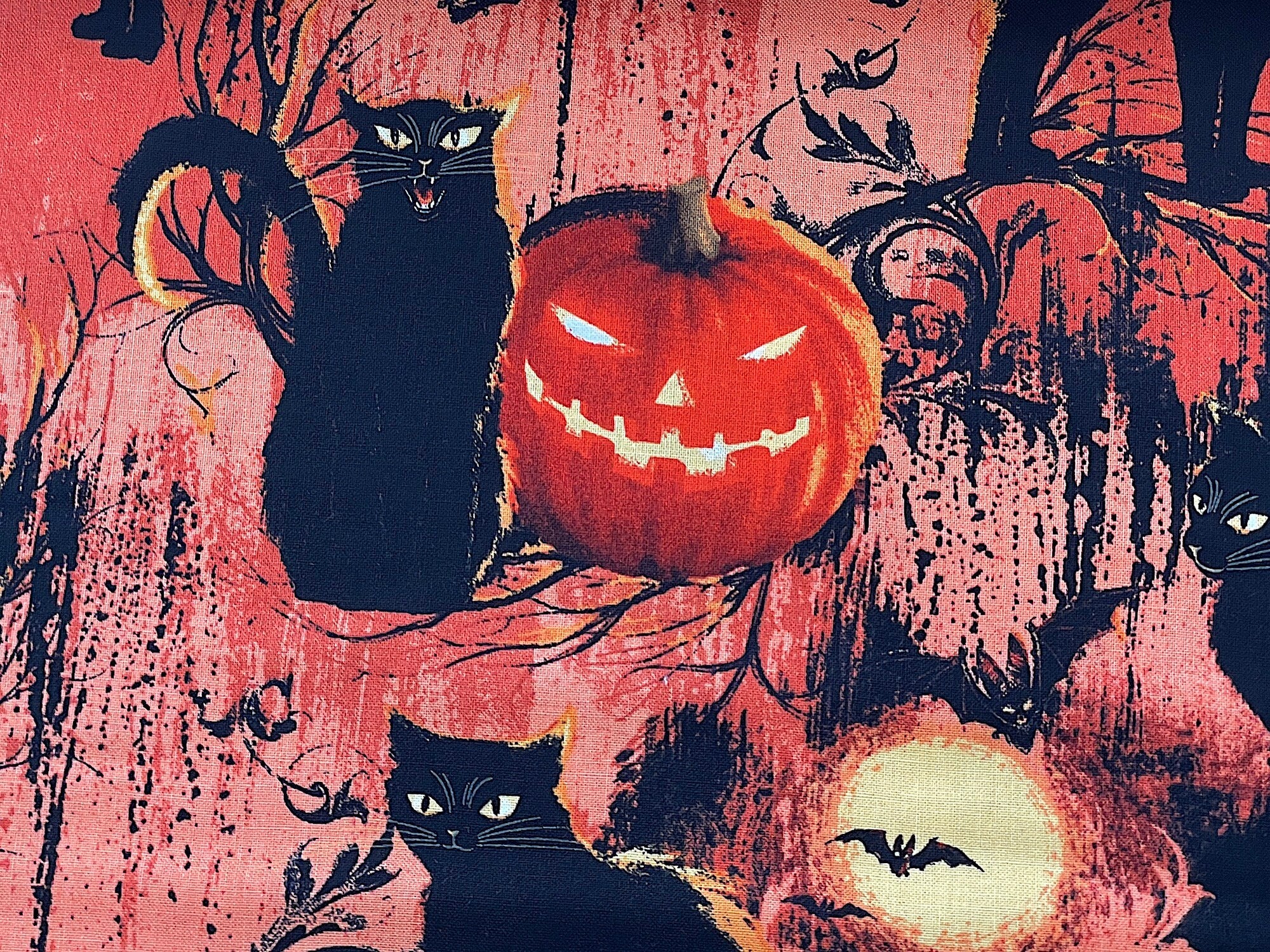 Close up of a black cat sitting beside a jack-o-lantern.
