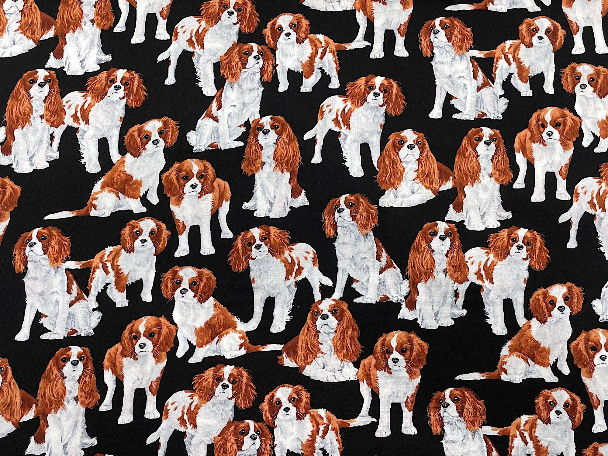 Cavalier King Charles Spaniels - Dog Fabric - Cotton Fabric - DOG-78