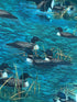Close up of loons swimming in the water.