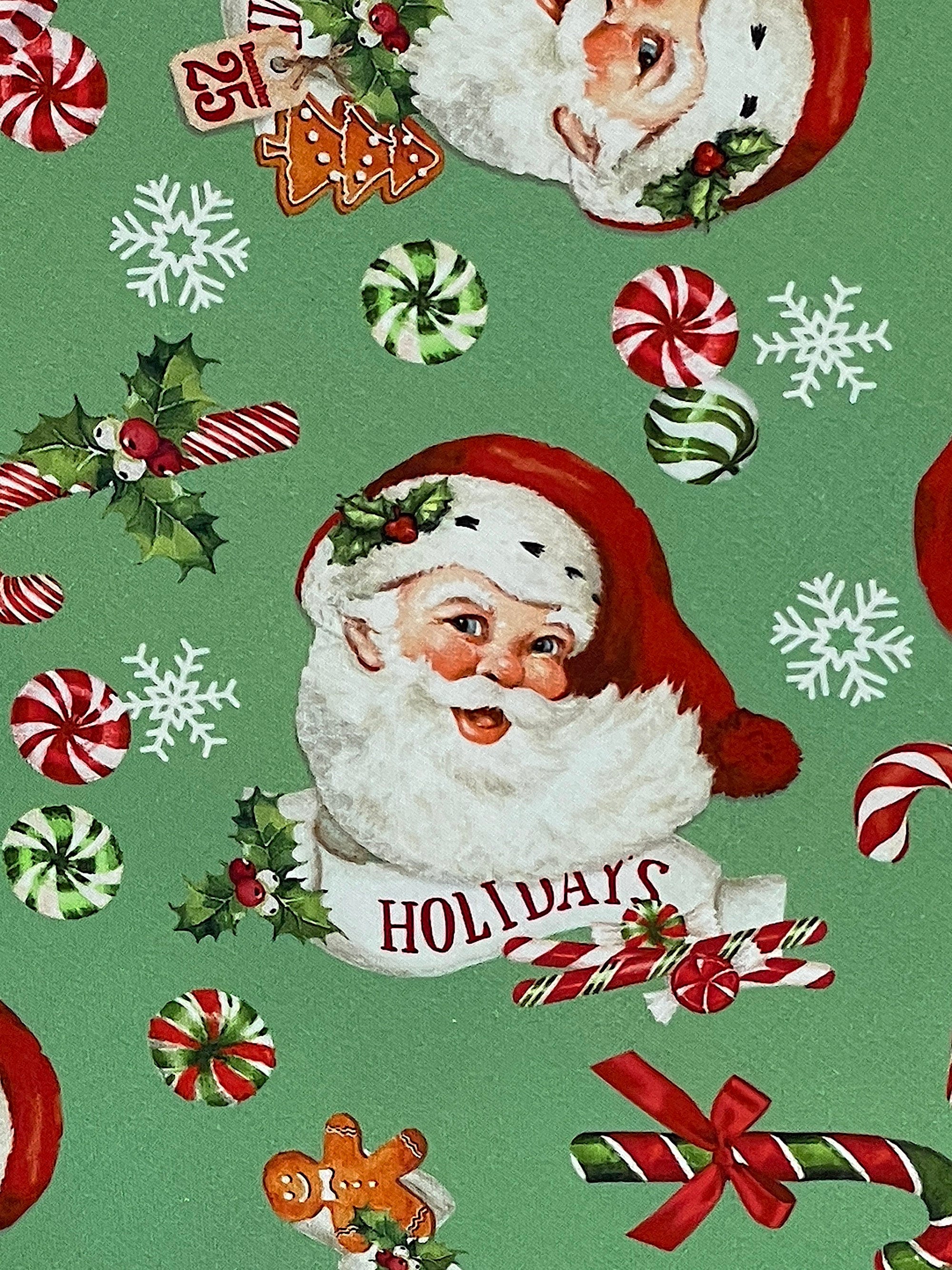 Close up of Santa Claus, candy, snowflakes on a green background.