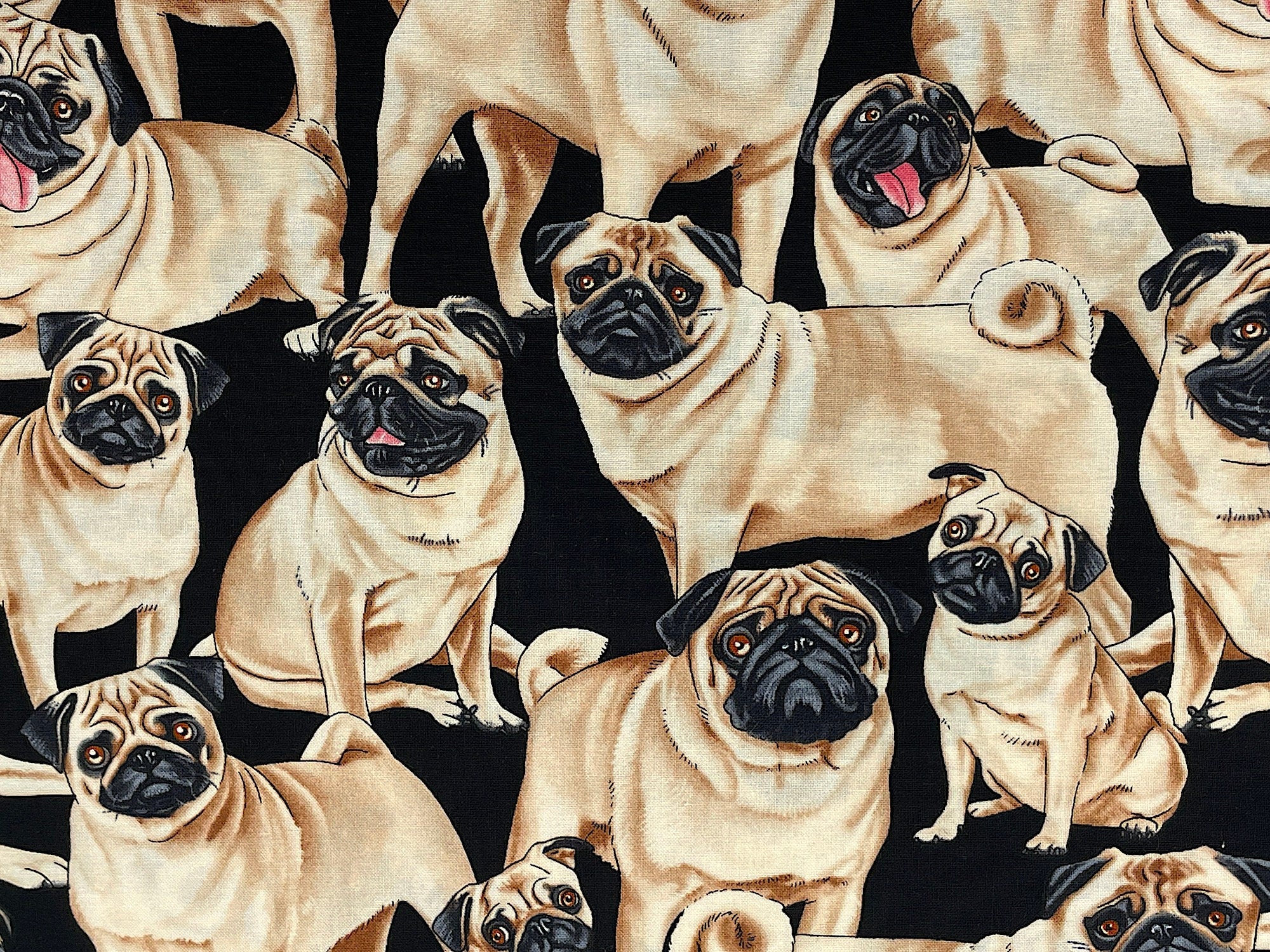 Close up of pugs on black fabric.