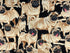 Close up of beige pugs on black cotton fabric.