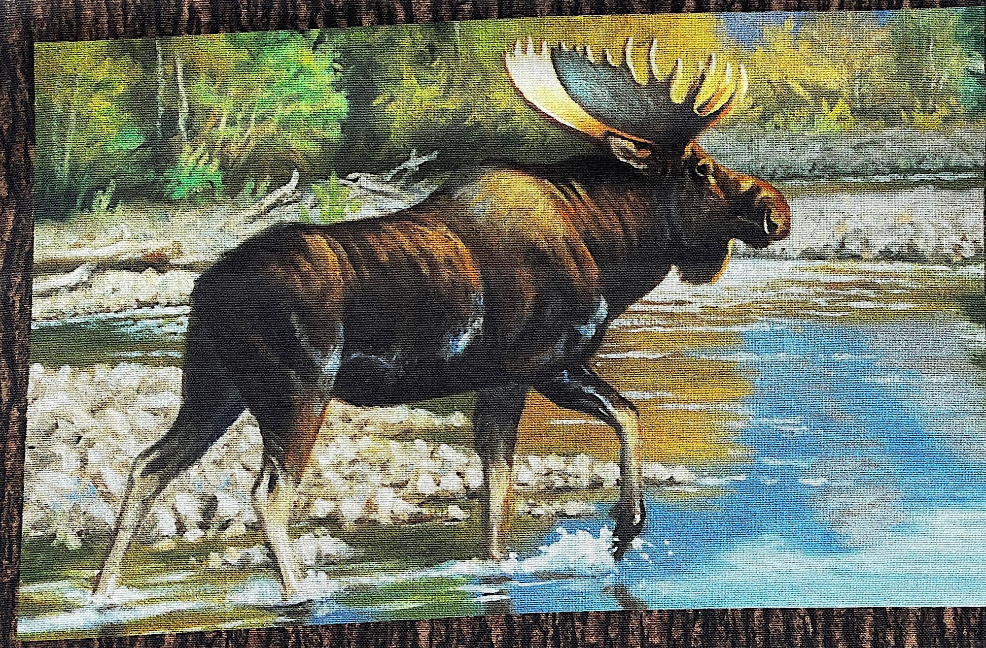 Close up of a moose walking in the water.