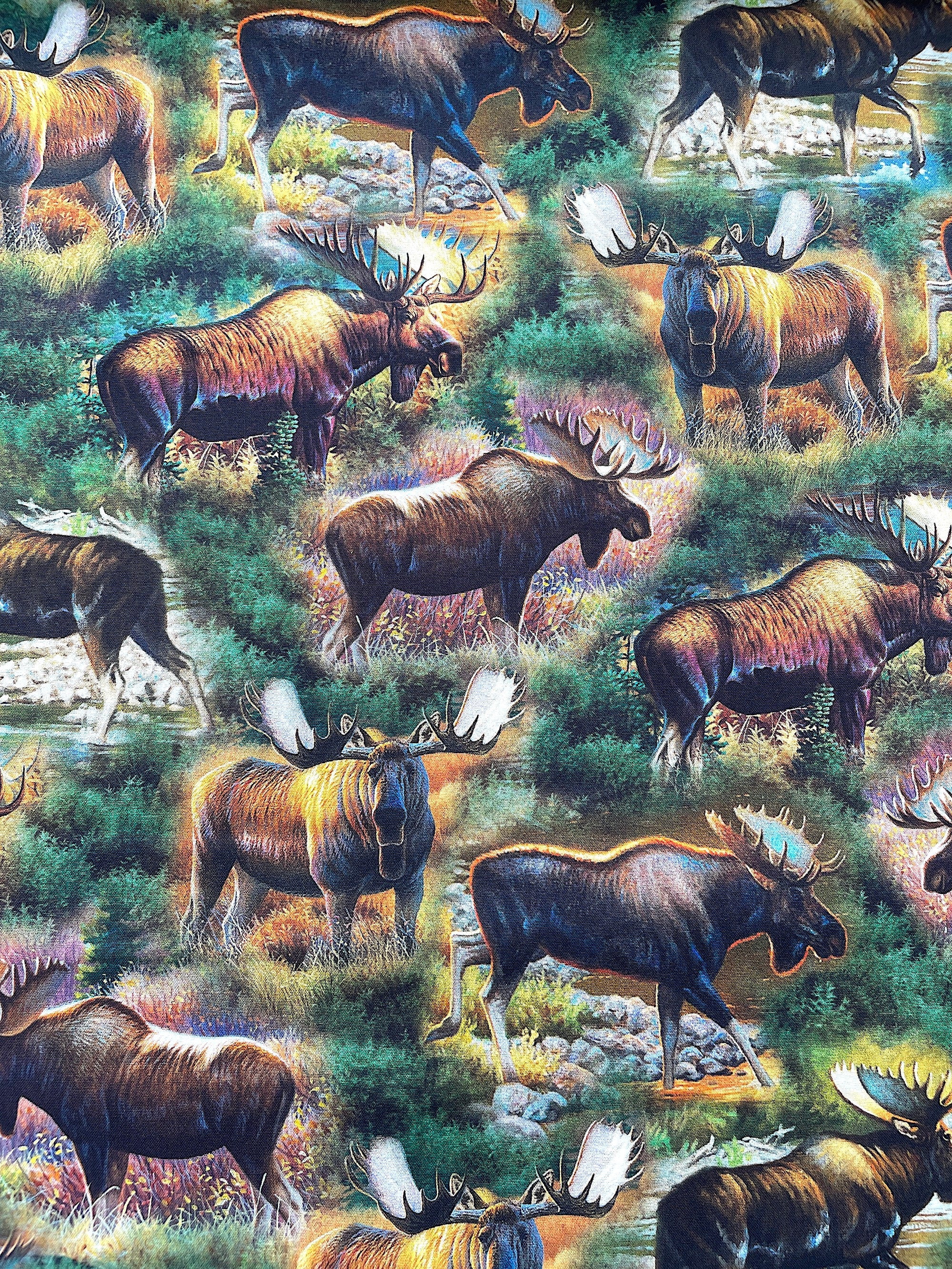 This fabric is called Moose Scenic and is part of the Magnificent Moose collection by QT fabrics. This cotton fabric is covered with moose walking in the grass and in water.