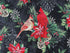Close up of cardinals sitting on a branch of leaves, pine cones and poinsettia.