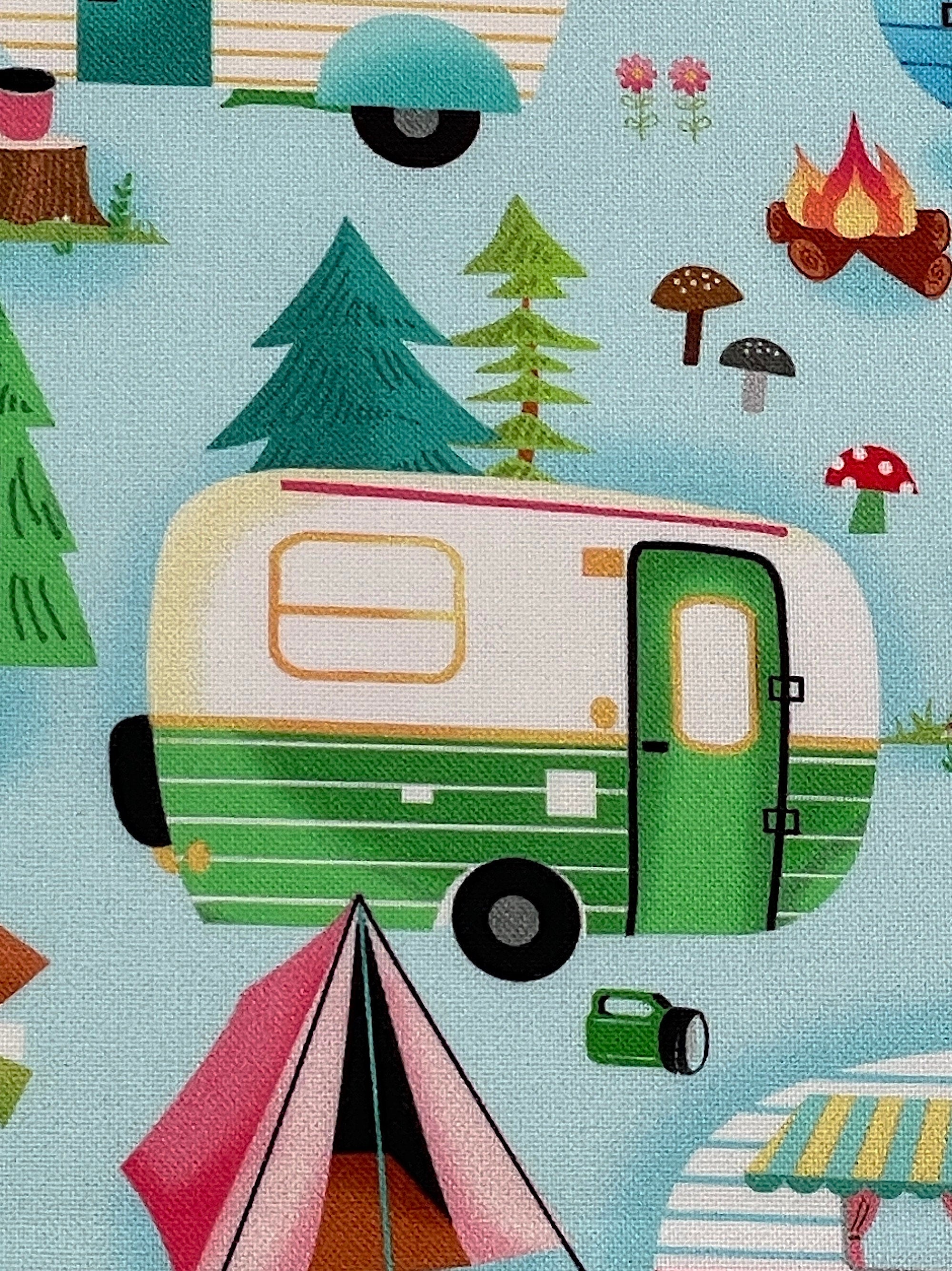 Close up of a green and white travel trailer with trees in the background.