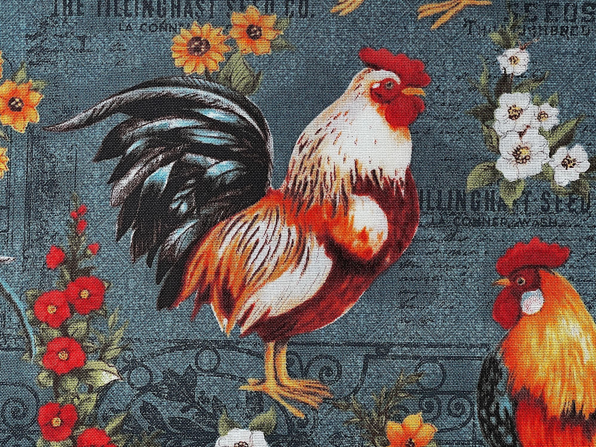 Close up of a rooster that is white, grey, black and shades of red to orange.