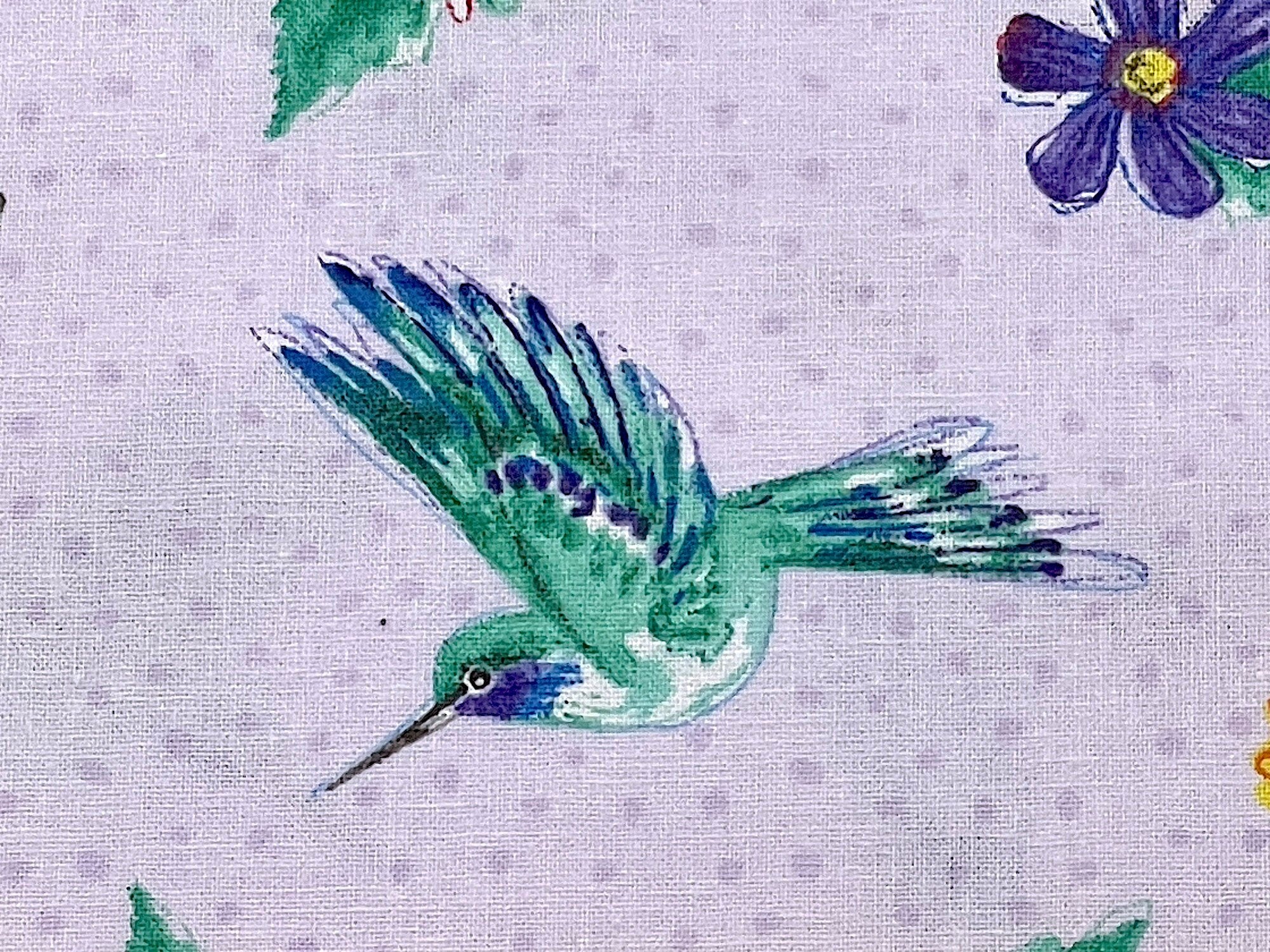 Close up of a bird that has shades of green, blue and white.