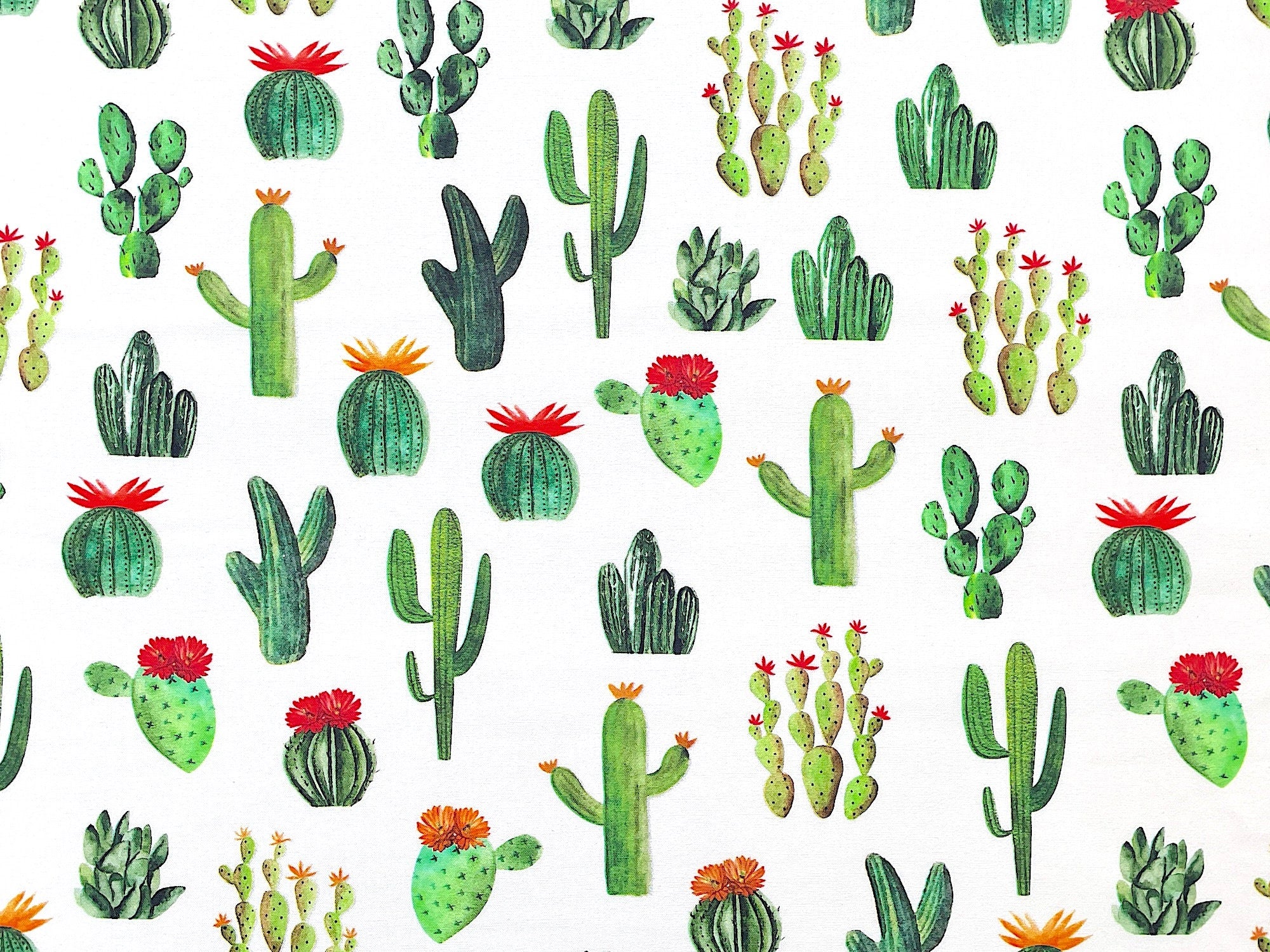This fabric is part of the Cowboy Up collection. This White cotton fabric is covered with green cactus. The cactus are in a random pattern.